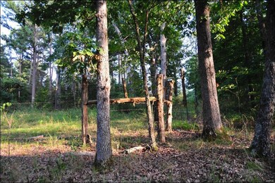 CORNER BETWEEN NE ALFALFA FIELD & NW TRACT#2 PARCE