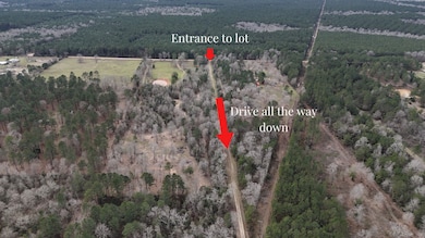 0 County Line Rd unit 15374642, Shepherd, TX 77371 - photo 2