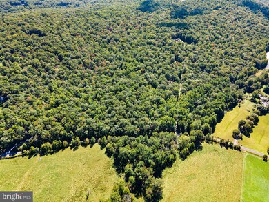 9623 Ada Rd, Marshall, VA 20115 - photo 4