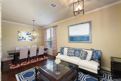 25507 Willard Path, San Antonio, TX 78261 - photo 6