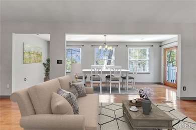 295 Lower St, Augusta, MO 63332 - photo 3