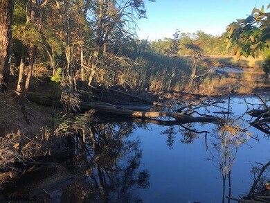 1401 Woodbine Rd, Woodbine, NJ 08270 - photo 2