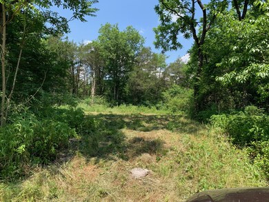 3480 Verona Caney Rd, Lewisburg, TN 37091 - photo 4