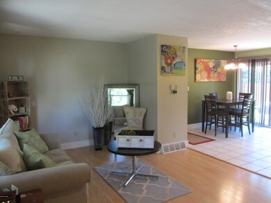 1044 Riverside Dr, Lowell, MI 49331 - photo 5