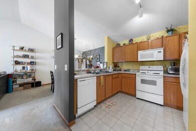 1453 Mcclure Rd unit 211, Aurora, IL 60505 - photo 5