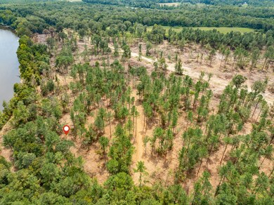 1.04 Mol Ac Old Hwy 24 Parcel 11, Mc Lain, MS 39456 - photo 4