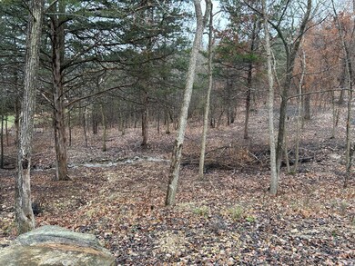 Lot 15 N Wilderness Trail, Kimberling City, MO 65686 - photo 2