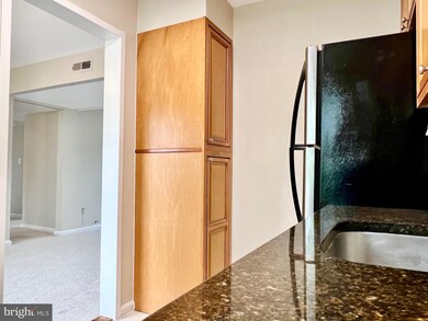 6508 Boulevard View unit C2, Alexandria, VA 22307 - photo 7