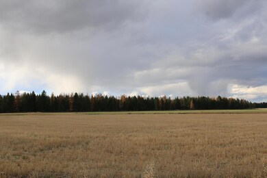 820 Prairie View Rd, Kalispell, MT 59901 - photo 6