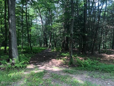 0 Sparrow Rd, Harveys Lake, PA 18618 - photo 4