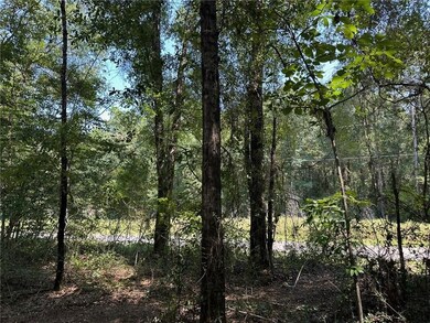 Danner Dr, Wilmer, AL 36587 - photo 7