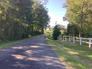 Road view