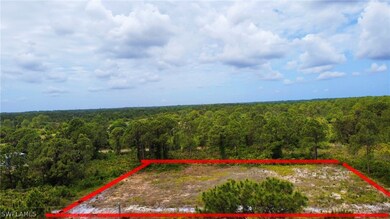 6009 Ruth Ave N, Lehigh Acres, FL 33971 - photo 2