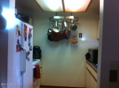 3418 Sagan Cir, Anchorage, AK 99517 - photo 6