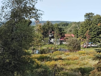 1519 Whittier Hill Rd, Cabot, VT 05647 - photo 3