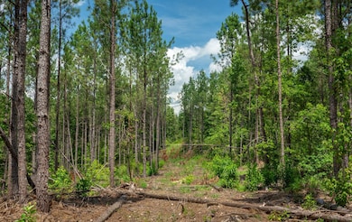 0 Longtown Rd unit 21128598, Ridgeway, SC 29130 - photo 6