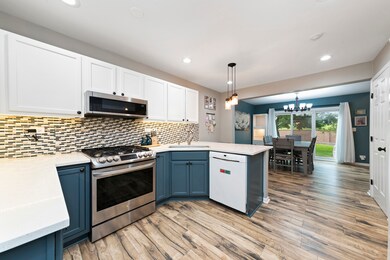 3848 Relstar Ct unit 1, Naperville, IL 60564 - photo 5