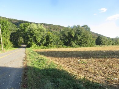 2A 0 Old Mountain Rd, Hadley, MA 01035 - photo 4