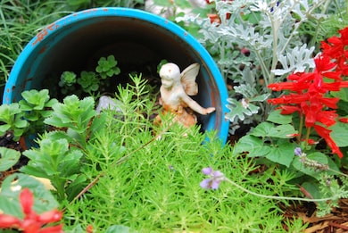 Fresh Herbs in Garden