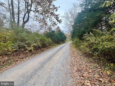 0 Greenway Ln unit VAPA2005538, Luray, VA 22835 - photo 3