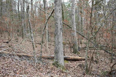 73 NE Mariners Dr, Milledgeville, GA 31061 - photo 4