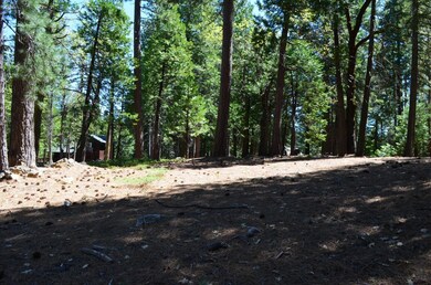 3112 Apache Rd, Arnold, CA 95223 - photo 4