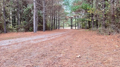 757 Linville Firetower Rd, Marion, LA 71260 - photo 7