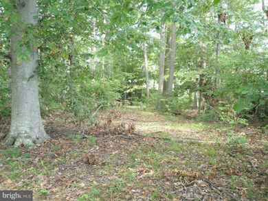 10 Peach Grove Rd, Louisa, VA 23093 - photo 5