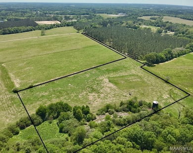 11.25 Acres Huskey Rd, Dothan, AL 36303 - photo 2