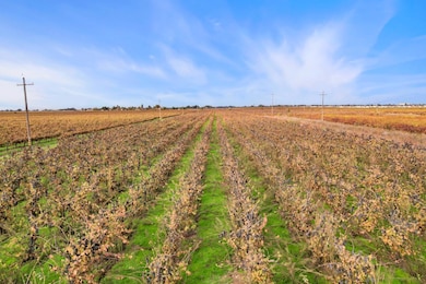 481 W Highway 12, Lodi, CA 95242 - photo 3