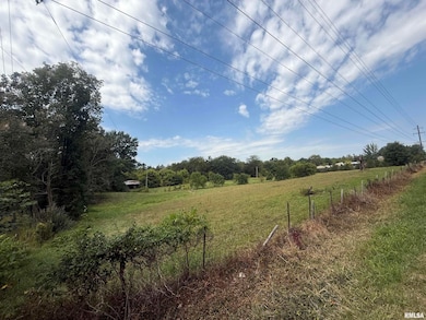 00 Wood Rd, Murphysboro, IL 62966 - photo 6