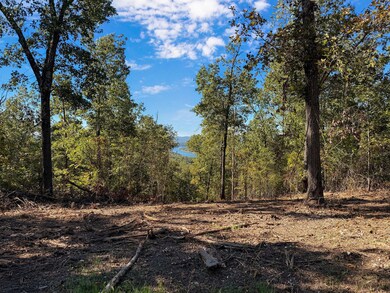 Tract 2 Everest Rd, Ruth A Township, MO 65656 - photo 5