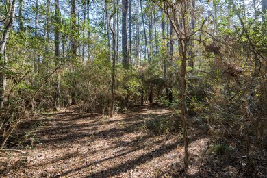 1011 Hunters Creek Way, Hockley, TX 77447 - photo 3