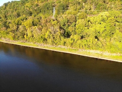 000 Ms River Rd, Hamburg, IL 62045 - photo 4