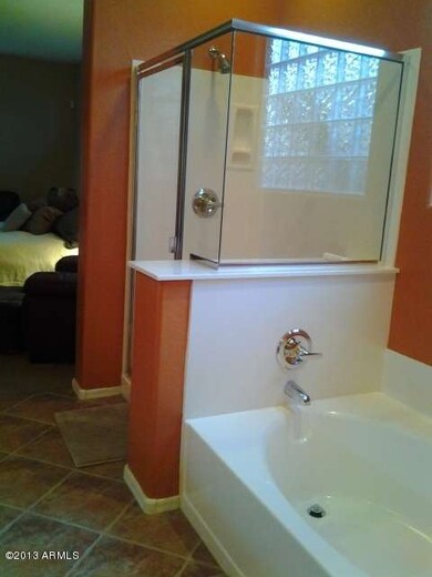 Master shower-tub