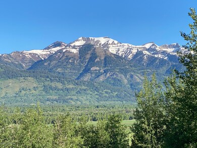 Direct View