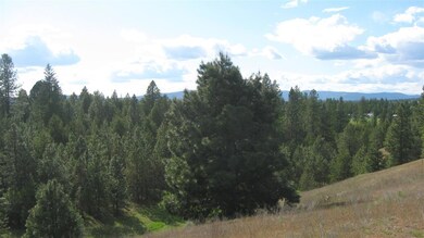 1302 W Wild Rose Rd, Colbert, WA 99005 - photo 4