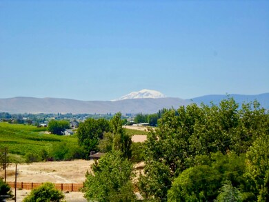 Mt Adams View