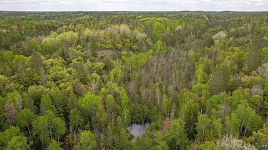 1777 Grant McMahan Blvd, Ely, MN 55731 - photo 5