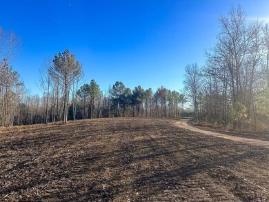 0 Firetower Rd unit 4, Centerville, TN 37033 - photo 5