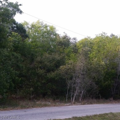 11911 Oakland Dr, Pine Island Center, FL 33922 - photo 6