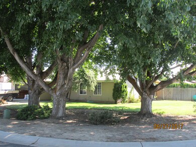 Front yard