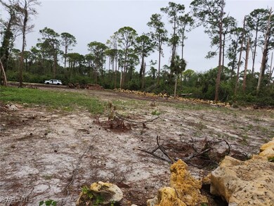 2004 Canton Ave, Alva, FL 33920 - photo 5