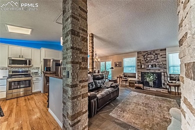 Living area with fireplace
