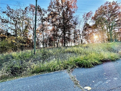 lot 17 Lake Horizons Rd, Gravois Mills, MO 65037 - photo 2