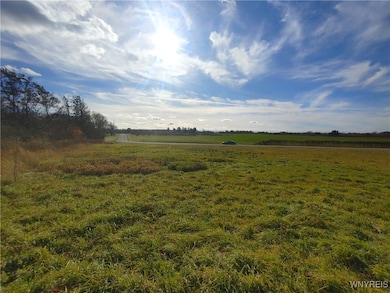 1269 Lakeshore Terrace, Appleton, NY 14008 - photo 4