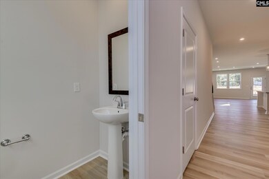 237 Wheat Farm Rd, Columbia, SC 29209 - photo 5