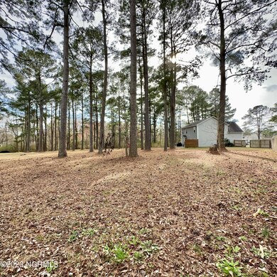 left corner backyard