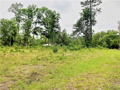 00 SW 189th Ave, Dunnellon, FL 34432 - photo 6