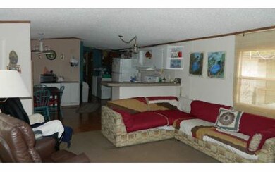 3459 Wilson Springs Rd, Fort White, FL 32038 - photo 3